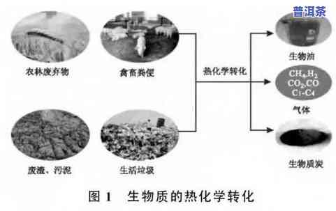 普洱茶中的铁锈成分及其去除方法