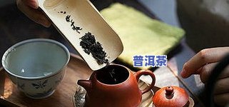 普洱茶储存怕不怕潮湿环境-普洱茶储存怕不怕潮湿环境呢