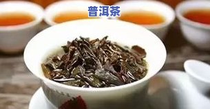 茶叶的渣子可以喝吗？有吗？