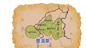 普洱茶701批次：包括701、1701、1801和2101批次，全面了解普洱茶批次信息。