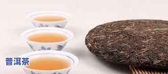 普洱茶茶针的作用、使用方法与选择：视频解析