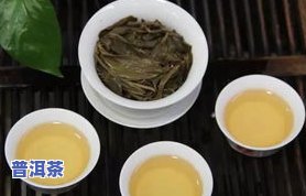 普洱茶单株价值-普洱茶单株价值多少