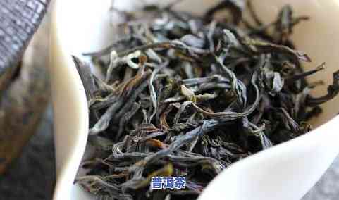 2000年普洱茶多少钱一斤？生茶与熟茶的价格有何不同？