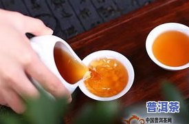 两千年的普洱茶多少钱一斤-两千年的普洱茶多少钱一斤啊