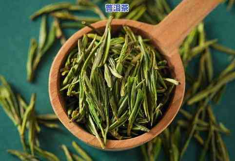 广西的茶叶品种图片-广西的茶叶品种图片介绍