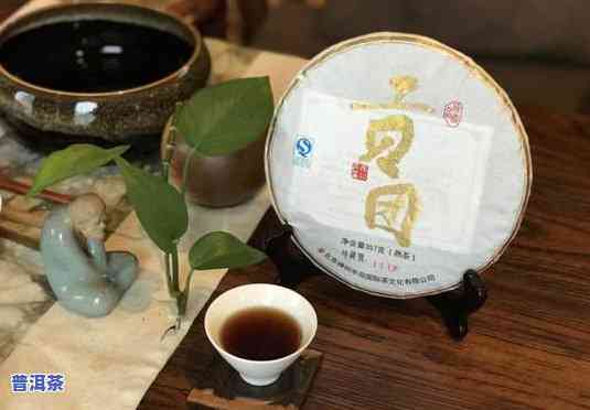 广西产普洱茶吗？探索广西是否有普洱茶树、知名及茶叶场