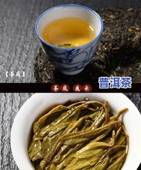 三亚冰岛古树普洱茶生茶-冰岛古树普洱茶生茶357克