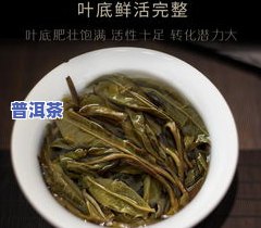 三亚冰岛古树普洱茶生茶-冰岛古树普洱茶生茶357克