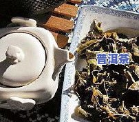 普洱茶供货-普洱茶供货商