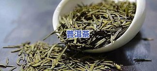 普洱芽苞属于什么茶类？详解其茶种、饮用方法及功效。