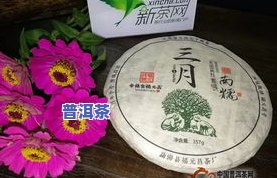 中福茶厂百福普洱茶价格表图片全览：品质保证、价格透明