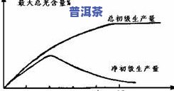 普洱茶叶种植：面积、产量与技术全解析