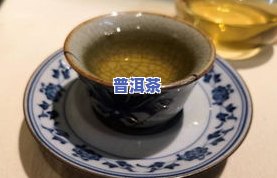 普洱茶种植视频大最新-普洱茶种植视频大最新版