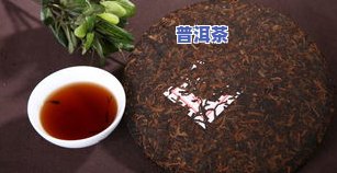 普洱茶种植视频大播放-普洱茶种植视频大播放下载