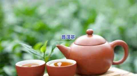 去云南到哪里买普洱茶-去云南到哪里买普洱茶好