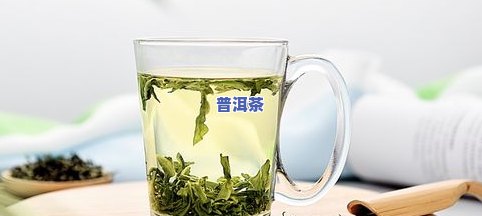 什么养的普洱茶更好喝又香，还养胃？