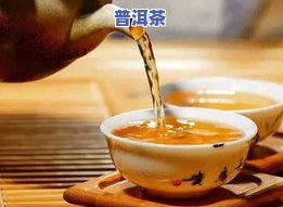 醇品老班章古树圆茶-老班章古树纯料