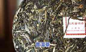 老马帮大树有机普洱茶价格及评价：古树生茶、熟普洱茶价格全解析