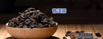 糯香普洱茶化石怎么泡好喝-糯香普洱茶化石怎么泡好喝呢