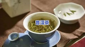 洞庭普洱茶-洞庭茶叶