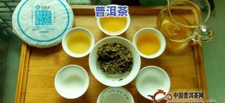 品味普洱茶的回甘：含义、作用与原理全解析