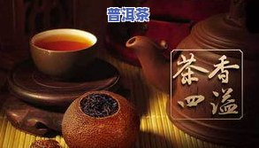 普洱茶买回来能放几天？还能喝吗？