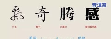 普洱茶制作方法的文字说明：详细步骤与技巧