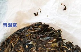 普洱茶保存年限-普洱茶保存年限是多少年