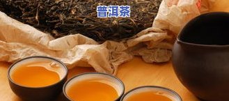 老普洱茶发霉怎么办？正确处理方法与能否饮用解析