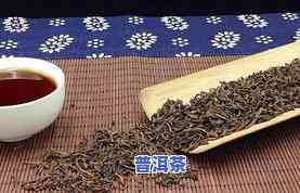 普洱茶茶饼：怎样正确撬开、分辨生熟及保质期？