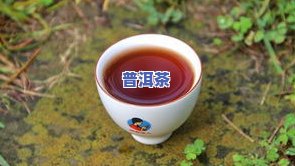 普洱茶发霉的解决方法：图片、视频全解析，熟茶发霉能否饮用？饼茶发霉是不是可救？