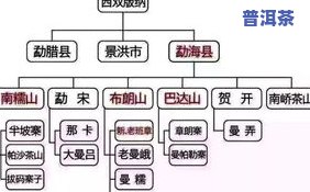 十大普洱茶最新排名表：全面揭晓各大及其价格