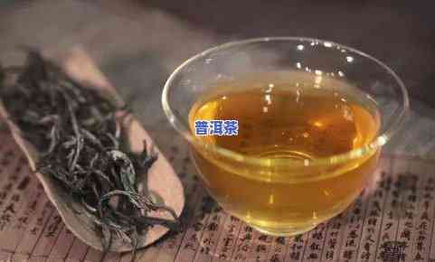 逸仙普洱茶-逸神普洱茶