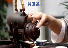 凤凰窝普洱茶冲泡方法图解-凤凰窝普洱茶冲泡方法图解大全