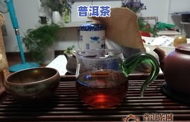 凤凰窝普洱茶冲泡方法视频教程：详细介绍如何冲泡及口感评价