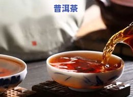 怒江普洱茶茶庄：品种、地址全介绍