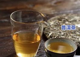 怒江普洱茶茶庄：品种、地址全介绍