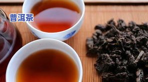 普洱茶知识快记-普洱茶知识快记大全