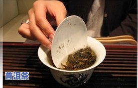 凤凰窝普洱茶冲泡方法视频讲解全攻略