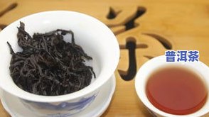 凤凰窝普洱茶好喝吗？特点、产地及价格全解析