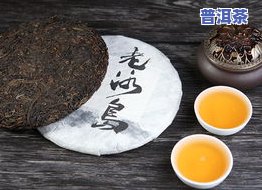 凤凰窝普洱茶冲泡方法视频-凤凰窝普洱茶冲泡方法视频教程