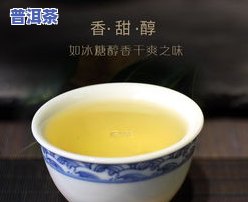 冰岛龙珠普洱生茶冲泡技巧与健康益处全解析