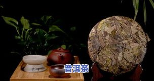 勐龙普洱茶特点全解析：图片 视频，深度揭秘大勐龙普洱