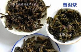 普洱茶减肥效果如何？适合减肥人群饮用吗？