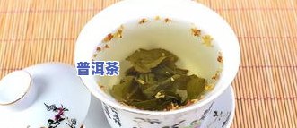 发酵半发酵茶叶的功效与制作方法