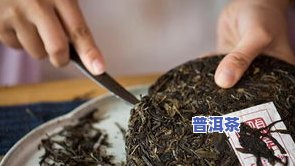 云南白莲普洱茶产地：价格与介绍