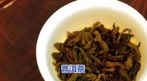 普洱茶：生茶vs熟茶，哪种更适合你？探讨其口感、功效与减肥效果