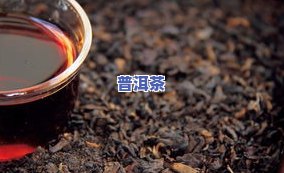 普洱茶放多少年更好？影响口感的关键因素解析