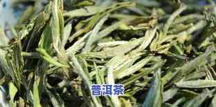 深入熟悉：勐海老班章熟茶的价格、特点与魅力