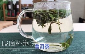 能一直泡的茶：哪些茶叶可以长时间冲泡？